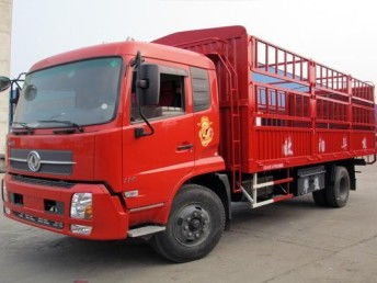 圖 青島到樂山物流公司 城陽區(qū)鼎盛泰貨運(yùn)部 青島物流