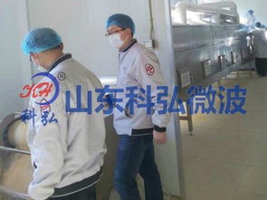 微波食品殺菌機工廠直銷價格與供應信息詳解